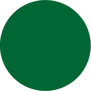 Dark Green 410